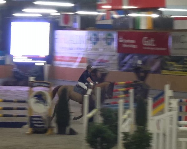 Reitturnier Keppeln - Reitanlage "Hötzenhof" 2021