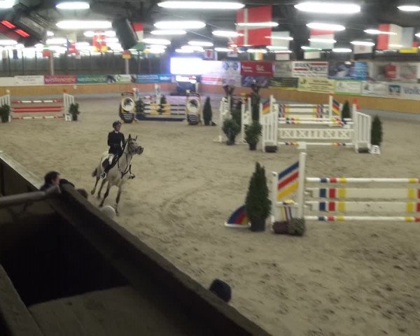 Reitturnier Keppeln - Reitanlage "Hötzenhof" 2021