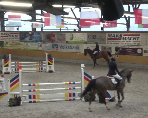 Reitturnier Keppeln - Reitanlage "Hötzenhof" 2021
