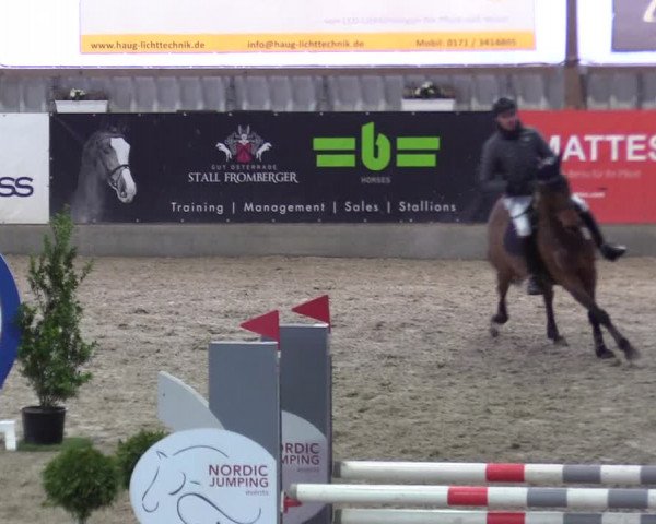Reitturnier Negernbötel 2021, 10. Nordic Jumping event 2020/2021