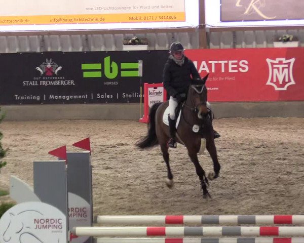 Reitturnier Negernbötel 2021, 10. Nordic Jumping event 2020/2021