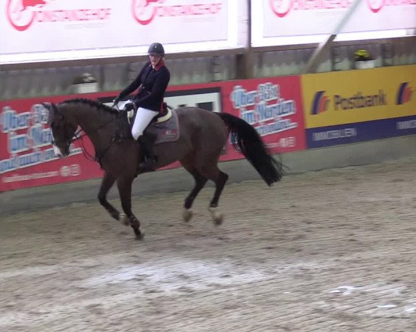 Reitturnier Negernbötel 2021, 10. Nordic Jumping event 2020/2021