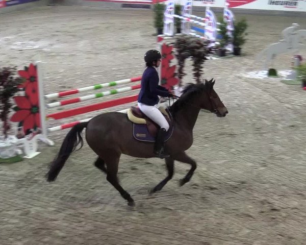 Reitturnier Negernbötel 2021, 10. Nordic Jumping event 2020/2021