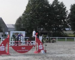 broodmare Ekstasia K (Westphalian, 2005, from Ehrentusch)