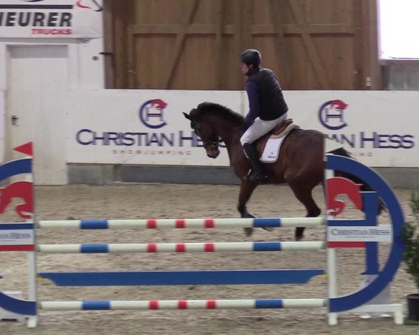Reitturnier Negernbötel 2021, 10. Nordic Jumping event 2020/2021