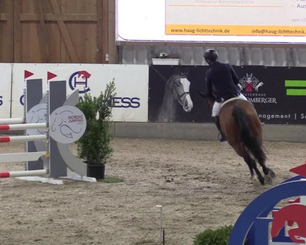 Reitturnier Negernbötel 2021, 10. Nordic Jumping event 2020/2021
