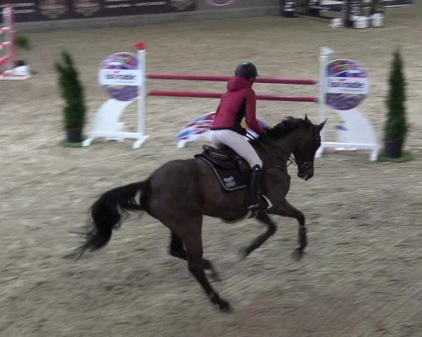 Reitturnier Negernbötel 2021, 10. Nordic Jumping event 2020/2021