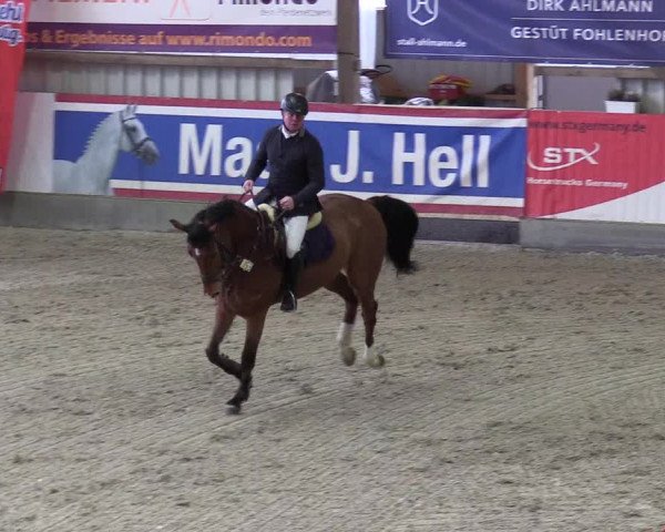Reitturnier Negernbötel 2021, 10. Nordic Jumping event 2020/2021