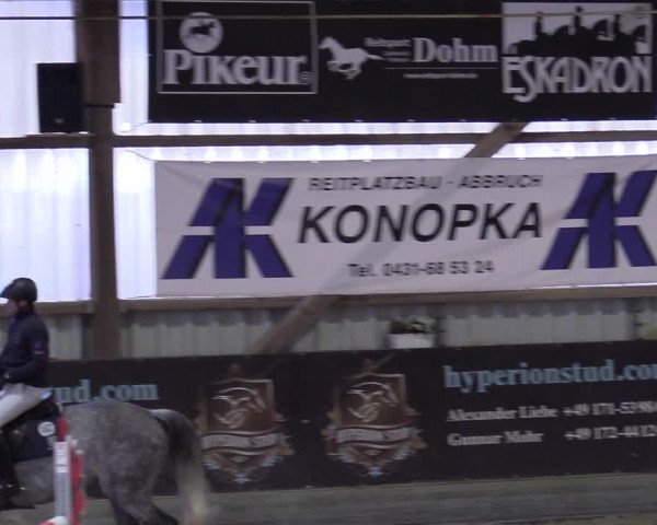Reitturnier Negernbötel 2021, 10. Nordic Jumping event 2020/2021
