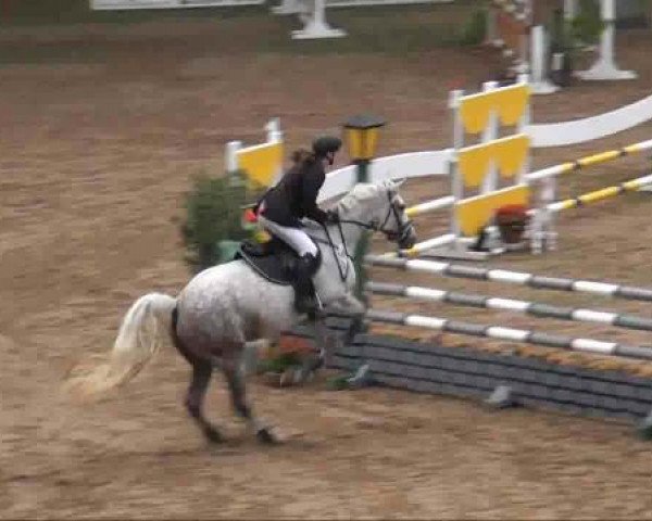 jumper Kalla (German Warmblood, 2005, from Kaiserwind)
