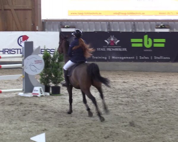 Reitturnier Negernbötel 2021, 10. Nordic Jumping event 2020/2021