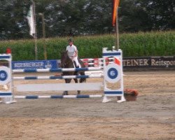 jumper Quinto 32 (Saxony-Anhaltiner, 2002, from Quintero)
