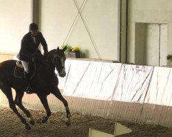 broodmare Morgenpirsch (German Sport Horse, 2006, from Monte Bellini)