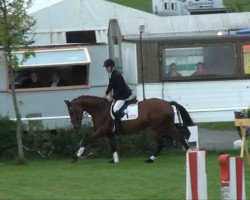 jumper Lucie 210 (German Sport Horse, 2006, from Ludwig von Bayern 168 FIN)