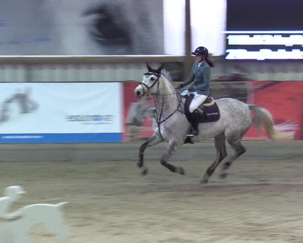 Reitturnier Negernbötel 2021, 10. Nordic Jumping event 2020/2021
