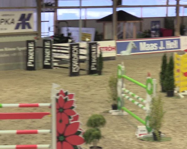 Reitturnier Negernbötel 2021, 10. Nordic Jumping event 2020/2021