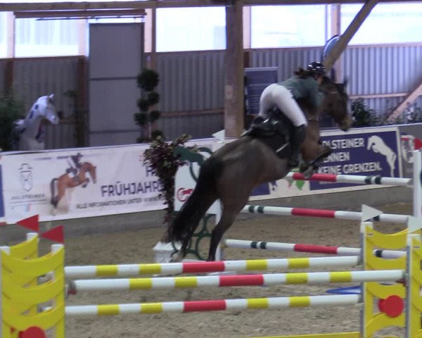 Reitturnier Negernbötel 2021, 10. Nordic Jumping event 2020/2021