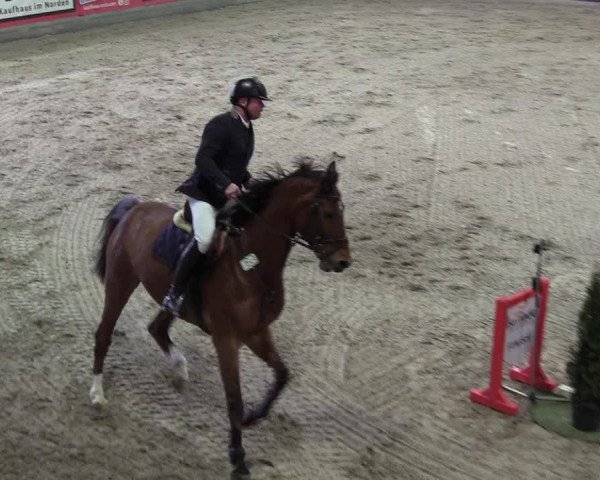 Reitturnier Negernbötel 2021, 10. Nordic Jumping event 2020/2021