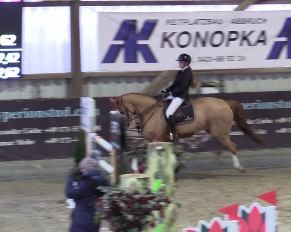 Reitturnier Negernbötel 2021, 10. Nordic Jumping event 2020/2021