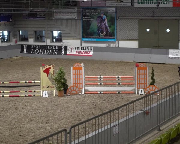 Reitturnier Luhmühlen 2021