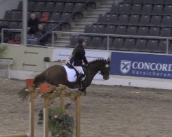 Dressurpferd Sandy 515 (Deutsches Reitpony, 2005, von Nitendo)