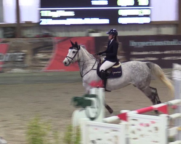 Reitturnier Negernbötel 2021, 10. Nordic Jumping event 2020/2021