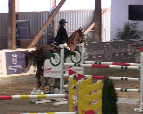 Reitturnier Negernbötel 2021, 10. Nordic Jumping event 2020/2021