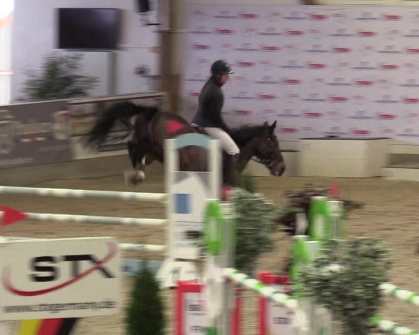 Reitturnier Negernbötel 2021, 10. Nordic Jumping event 2020/2021