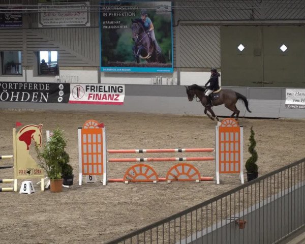 Reitturnier Luhmühlen 2021