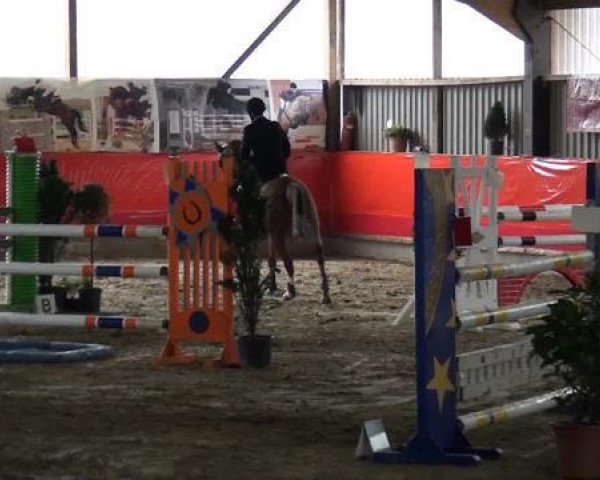 jumper La Corona 9 (Oldenburg, 2004, from Lannox)