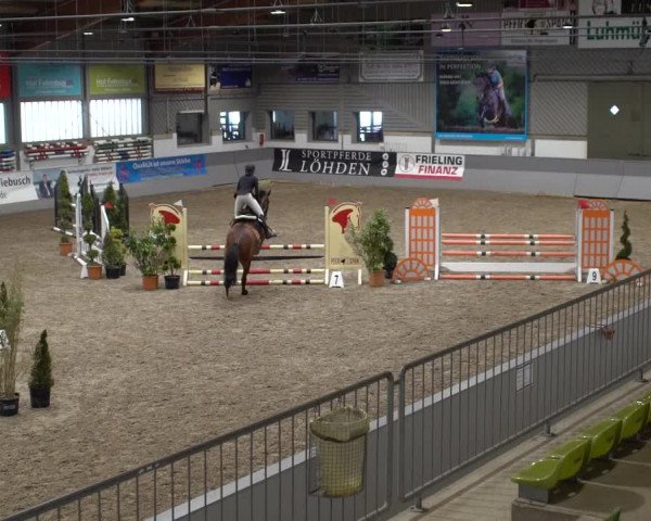 Reitturnier Luhmühlen 2021