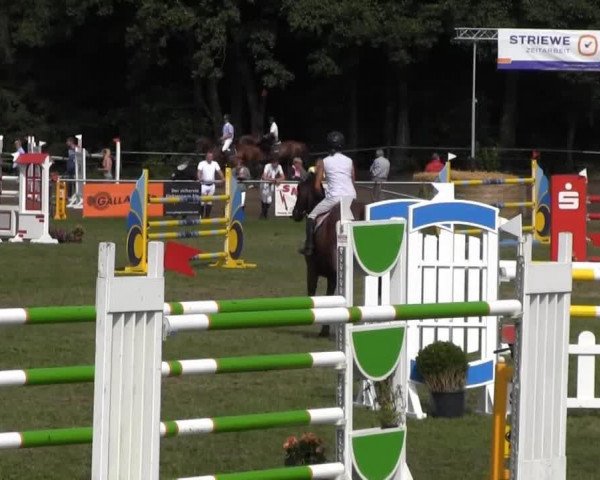 jumper Kuekenmoor's Quick Flick (Oldenburg, 2006, from Quadrigus M)