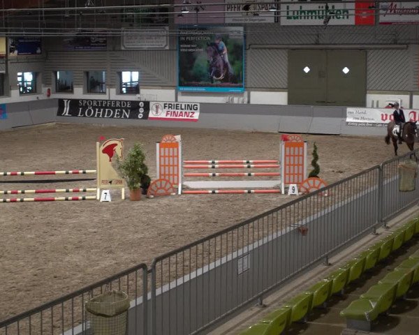 Reitturnier Luhmühlen 2021