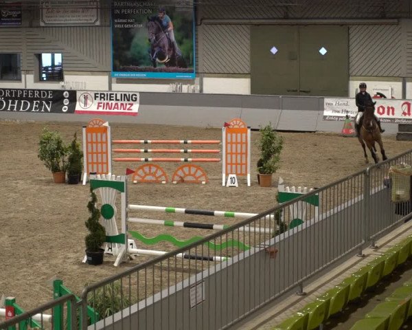 Reitturnier Luhmühlen 2021