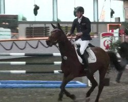 broodmare Quintania (Oldenburg, 2004, from Quidam's Rubin)