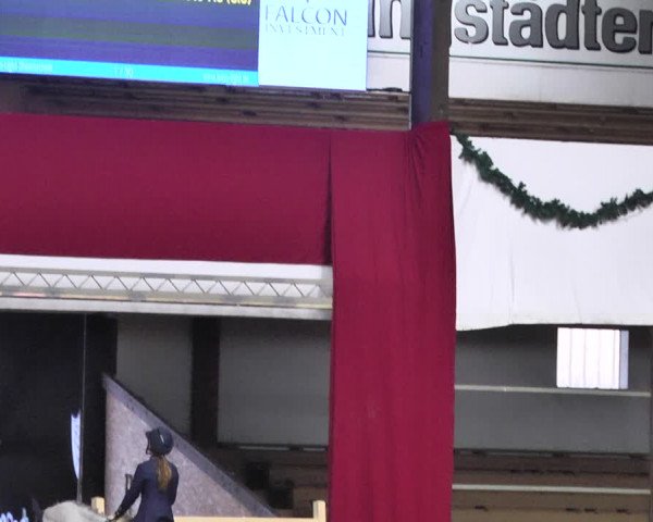 Reitturnier Darmstadt-Kranichstein 2021
