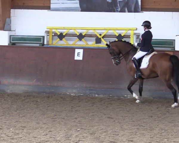 Reitturnier Buchholz in der Nordheide 2021