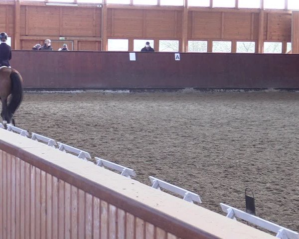 Reitturnier Buchholz in der Nordheide 2021