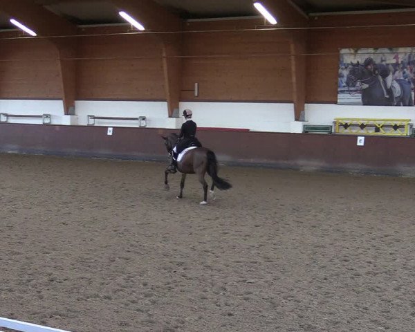 Reitturnier Buchholz in der Nordheide 2021