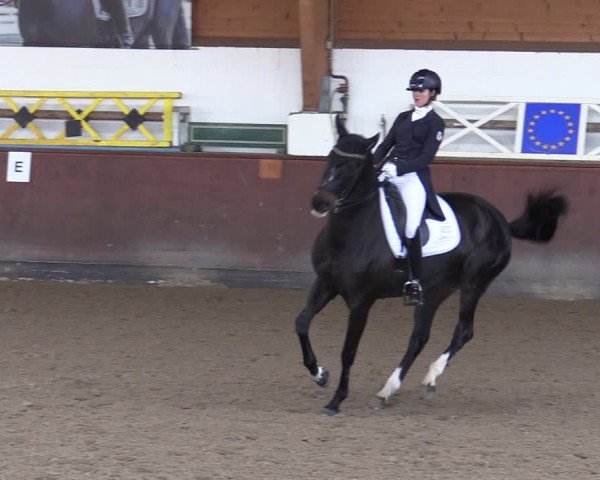Reitturnier Buchholz in der Nordheide 2021