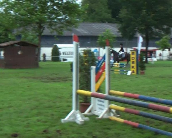 jumper Stella 813 (Oldenburg, 2002, from De Niro)
