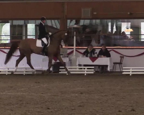 dressage horse Desert Rose II (Oldenburg, 2004, from Donnerball)