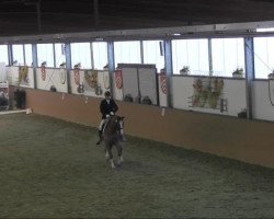dressage horse Deux Couleur (Oldenburg, 2002, from De Niro)