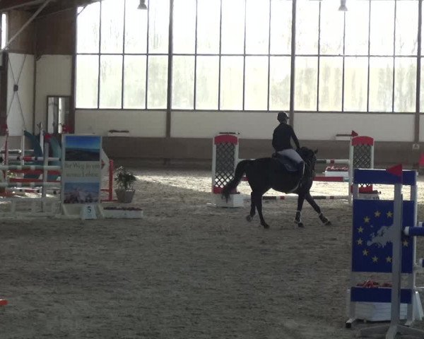Reitturnier Langenfeld - Gut Langfort 2021
