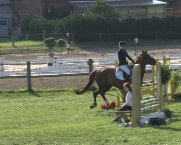 jumper Duplomatie (Oldenburg, 2001, from Dormello)