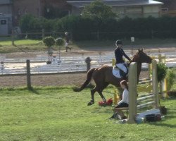 jumper Duplomatie (Oldenburg, 2001, from Dormello)
