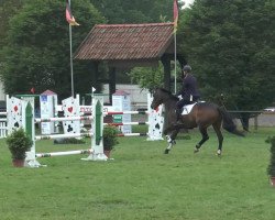 jumper Quidam's Coquard (Oldenburg, 2006, from Quidam's Rubin)