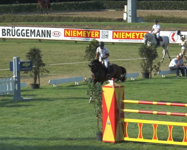 jumper Chassilo (Oldenburg, 2005, from Chacco-Blue)