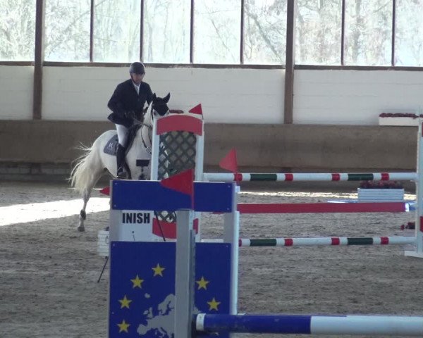 Reitturnier Langenfeld - Gut Langfort 2021
