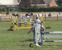broodmare Cara Cordina (Oldenburg, 2006, from Couleur Rouge)